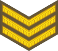 Sergeant (New Zealand Army)[66]