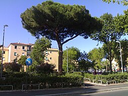 Piazza Giovanni Segantini.