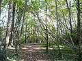 Domaine du château de Bridoire (promenade de la Gardonnette)