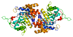 Белок AKR1C1 PDB 1ihi.png