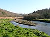 River camel Feb2008.JPG