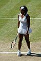 Serena Williams - 2008 US Open Grand Slam singles champion