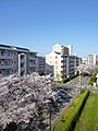 2013年3月30日 (土) 03:23時点における版のサムネイル