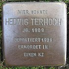 Stolperstein für Hedwig Terhoch