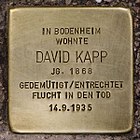 Stolpersteine Bodenheim Kapp David.jpg