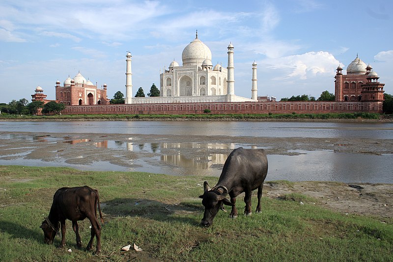 File:Taj Mahal-10.jpg