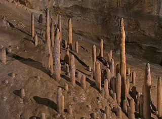 Stalagmitengruppe Zaubergarten im Barbarossasaal