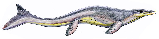 Tylosaurus proriger