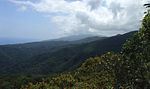 Ultrabasic forests above 1200 m at Barangay Diddadungan - ZooKeys-266-001-g006.jpg