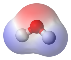 A water molecule, a commonly-used example of p...
