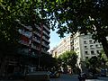 Miniatura para Calle de Lepanto (Barcelona)