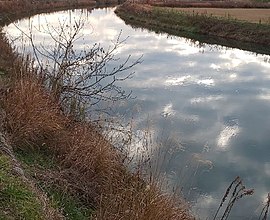 和田川(庄川水系)