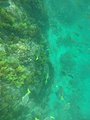 Playa Chileno, en Cabo San Lucas, México.