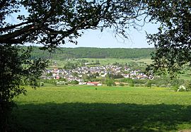 Арборн Panorama.jpg