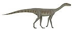 Asilisaurus-kongŭe