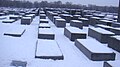 Katledilen Avrupalı Yahudiler Anıtı, Şubat 2009