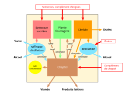 Diagramme en couleurs du schéma de fonctionnement d'une entreprise.