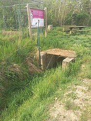 Buse du Dorfgraben devant le parc à cigognes de Gougenheim