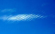 Cirrocumulus of radiation shape.jpg