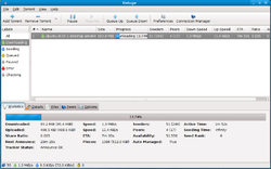 Deluge進行一個下載任務時的截圖。