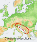 Distribution map Campanula cespitosa.png