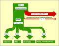 Bildeto por versio ekde 20:21, 6 jun. 2014