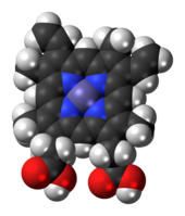 Space-filling model of the heme B complex