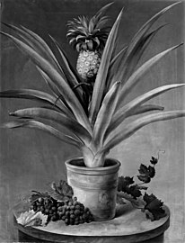 En ananas i urtepotte og druer på et stenbord