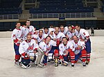 Thumbnail for Greek Ice Hockey Championship