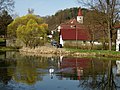 Pond with a swan