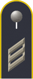 Dienstgradabzeichen auf der Schulterklappe der Jacke des Dienstanzuges für Luftwaffenuniformträger.