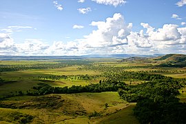 Gran Sabana Bolivar