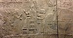 Från väggmålningar i Nineve med inskriften "Sennacherib, den mäktige kungen, kungen av landet Assyrien, sitter på domens tron framför Lachisch. Jag tillåter er att slakta den (staden)"