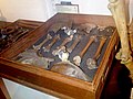 Dodo bones which had been stored away for a century until being rediscovered in 2011 while the collection was moved to a new building