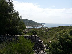 A sziget partvidéke a Glavicáról.