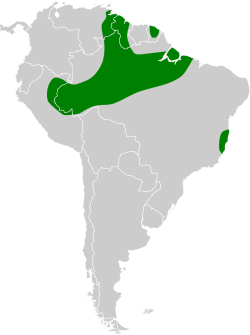 Distribución geográfica del nictibio aliblanco.