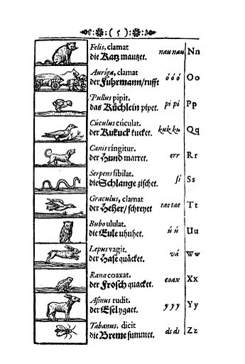 Orbis pictus: Alphabet (N bis Z)