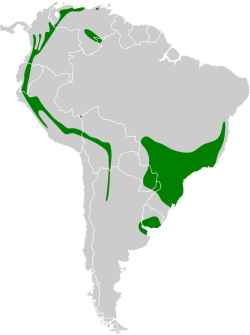 Distribución geográfica de la tangara de antifaz.