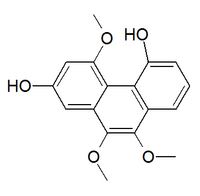 Chemical structure of plicatol A