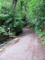 Rieselgrund mit Bachlauf gleich oberhalb der Lößnitzgrundstraße