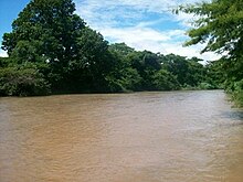 Rio Cesar, fleuve dans lequel se jette le rio Ariguani