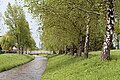 Die seit den 1930er/40er-Jahren begradigte Glan; hier auf Höhe der Brücke beim Schwarzgrabenweg