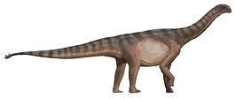 Shunosaurus