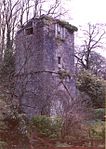 Tower about 15m west of St Benet's Abbey