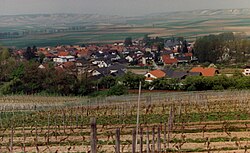 Skyline of Sulzheim