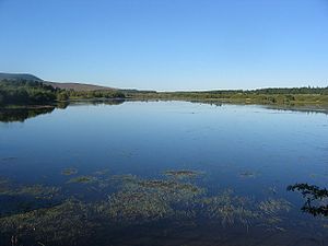 Threipmuir Reservoir