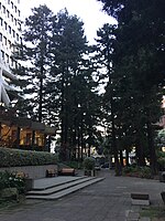 The Redwood Park on the grounds of the Transamerica Pyramid at dusk Transamerica Redwood Park Dusk.jpg