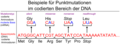 Formen der Punktmutation
