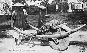 Brouette utilisée au Tonkin pour le transport des porcs, similaire aux brouettes chinoises, la roue centrale permet le port de charges plus lourdes lorsqu'elle est bien équilibrée autour de son axe.