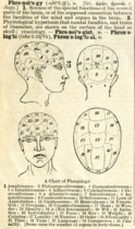 Phrenology, a pseudo-science fashionable in the 19th century.